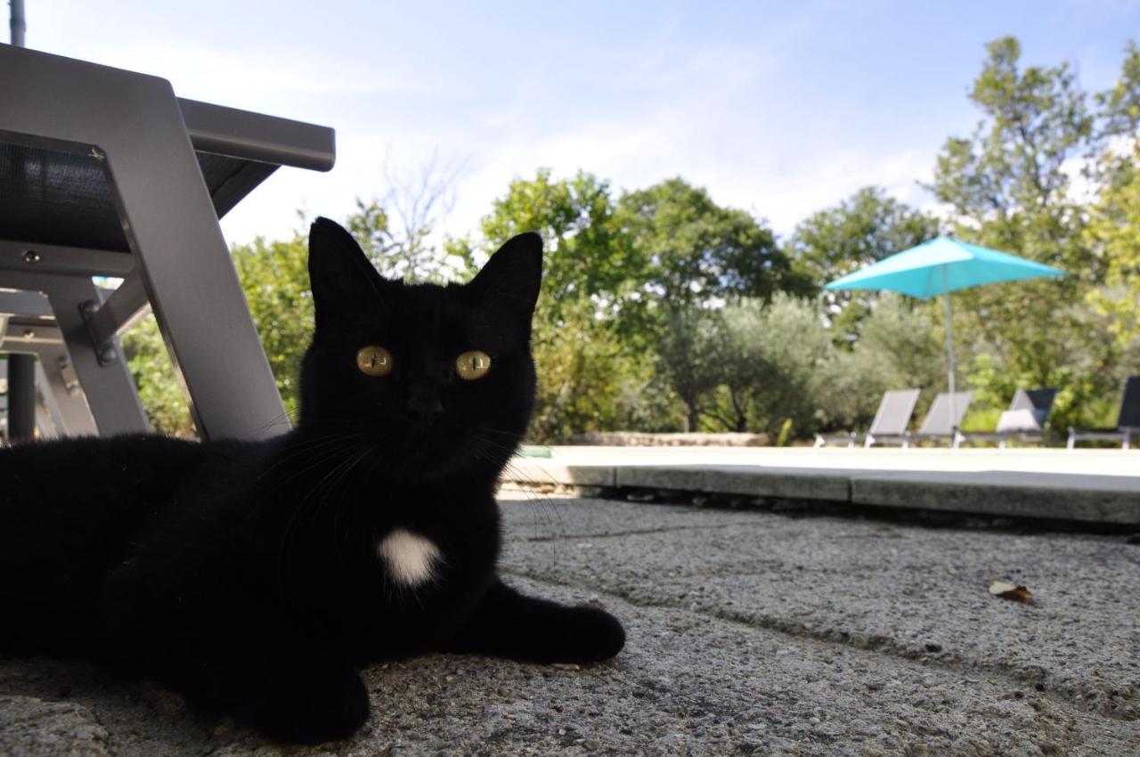 Un Je Ne Sais Quoi De Paradis Les Vans Exterior foto